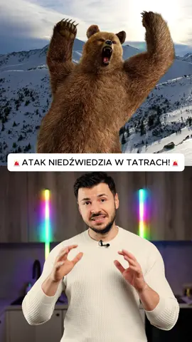 Niedźwiedź zaatakował rodzinę z dziećmi #wiadomości 