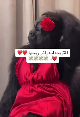 #منشن_لصاحبك 