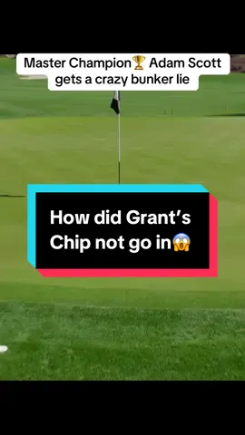 What do you rank that bunker shot😅 @Grant Horvat Golf #golf #golfr #golfer #golfing #golftok #golftiktok #golfcourse #golflife #golfball #golfshot #golfswing #golfislife #golfislyfe #youtubegolf #golfvideos #golfcontent #drivingrange 