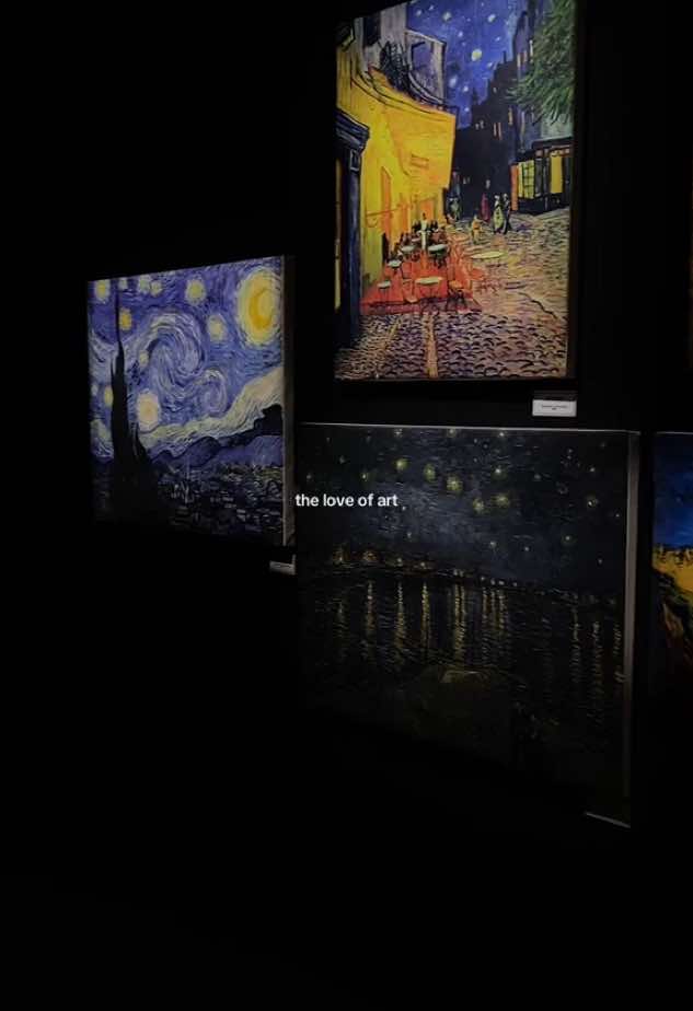 Creo que esta experiencia es algo de lo que hablaré siempre 🤍.  #vincentvangogh #doctorwho #vangogh #arte #museum #artist 