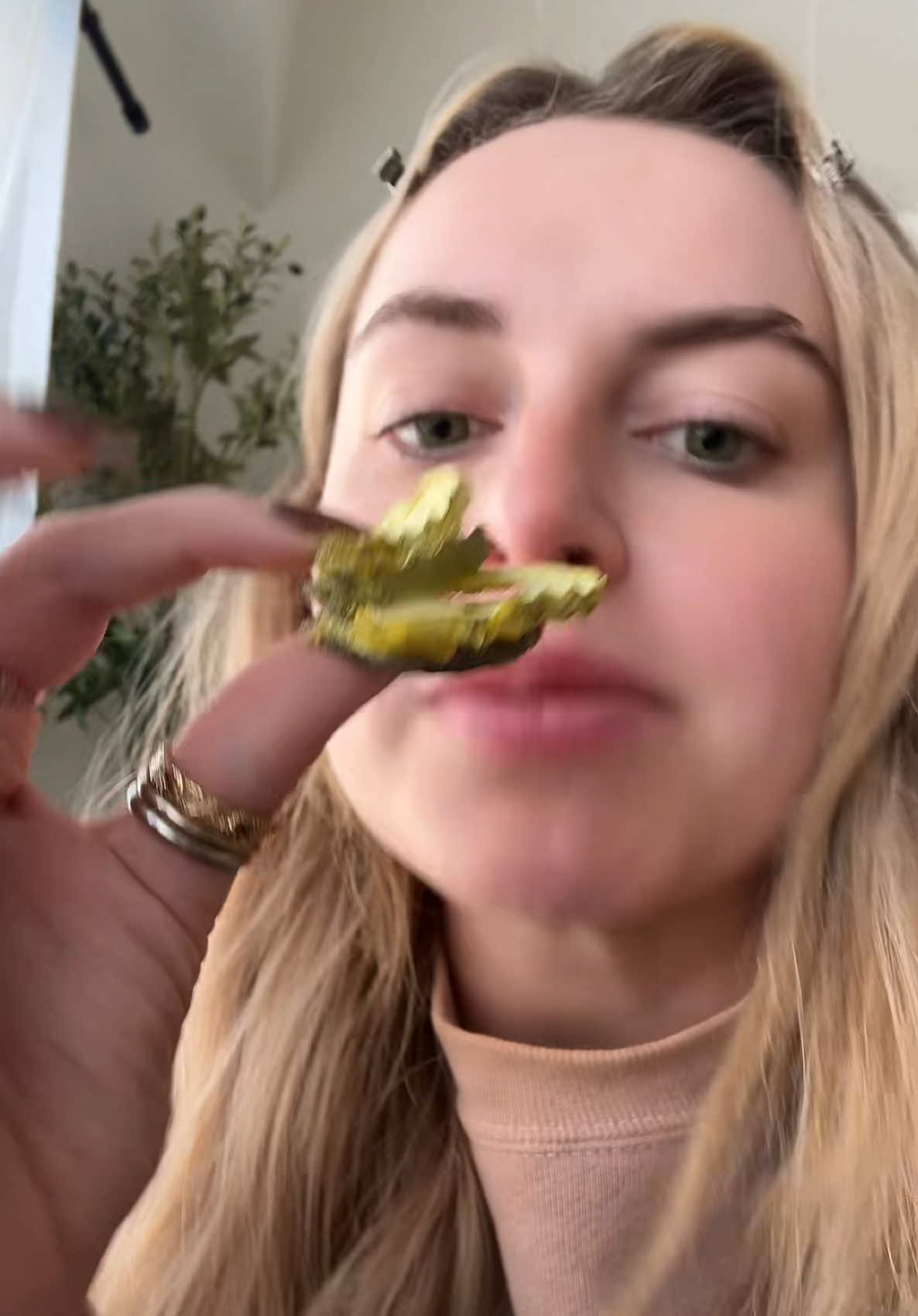 And what sucks is everyone in my house loves pickles so these will have to be hidden #freezedriedpickles #pickletok #picklesnack #picklejuice #strangesnacks #freezedried #freezedriedpickles #FoodTok #foodreview #fyp #tiktokmademebuyit 