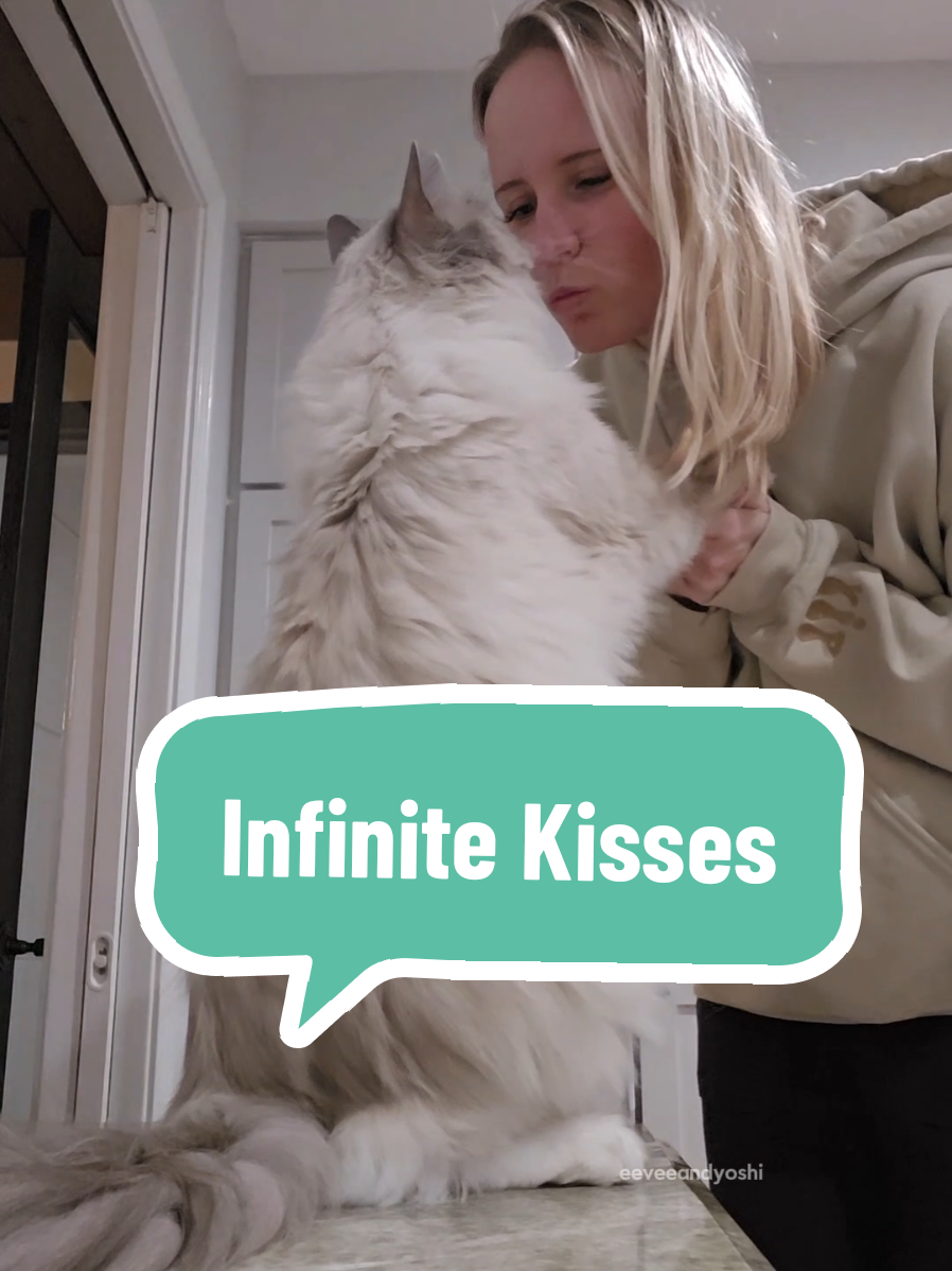 Yoshi has an unlimited supply of kisses 😽