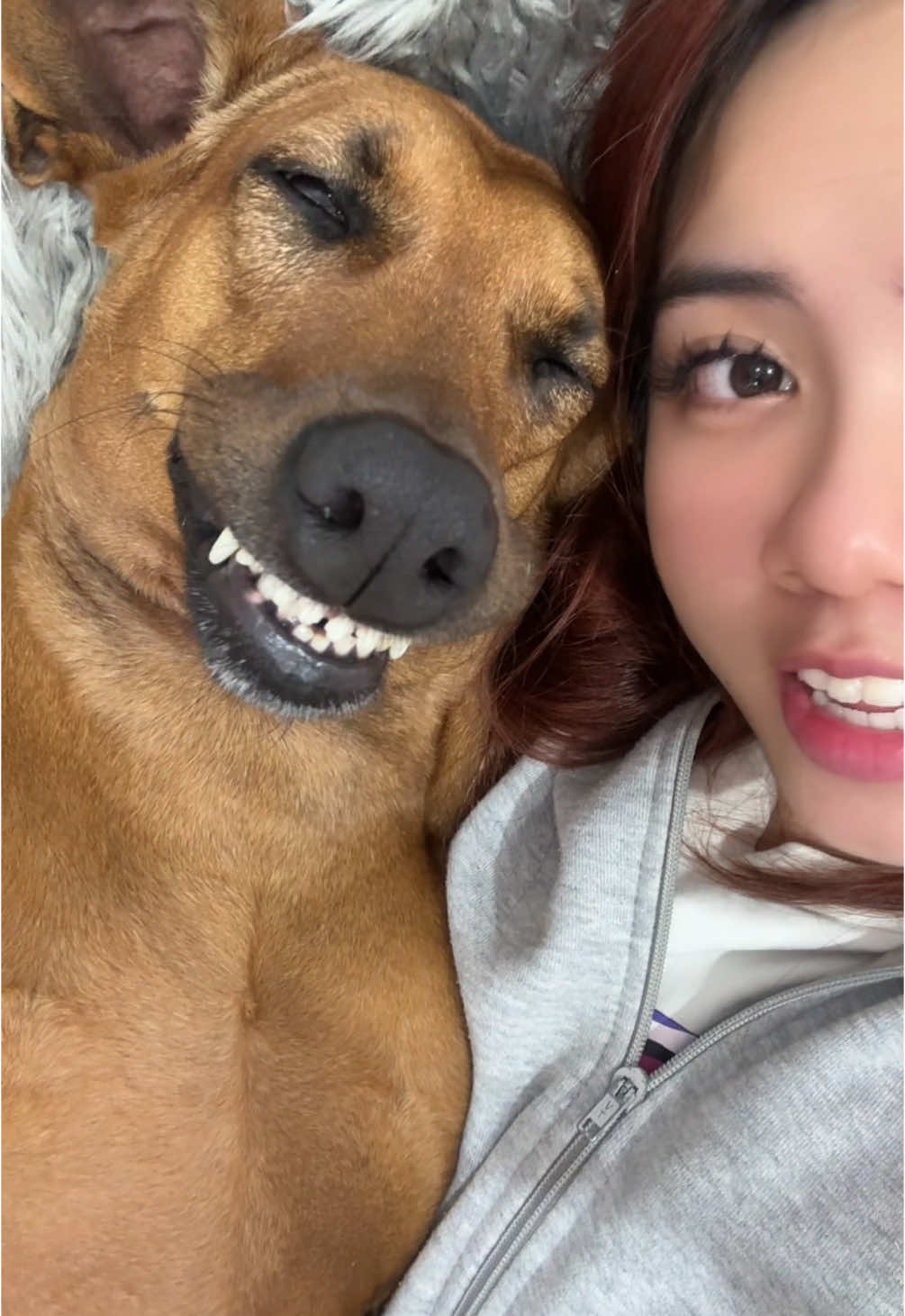 chết toai #mayngusy #venhadisy 