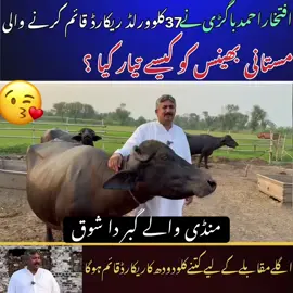 افتخار باگڑی منڈی والے کا مستانی بھینس کا شوق #alizaseharvlogs #niliravibuffalo #farmology #dairyfarming 