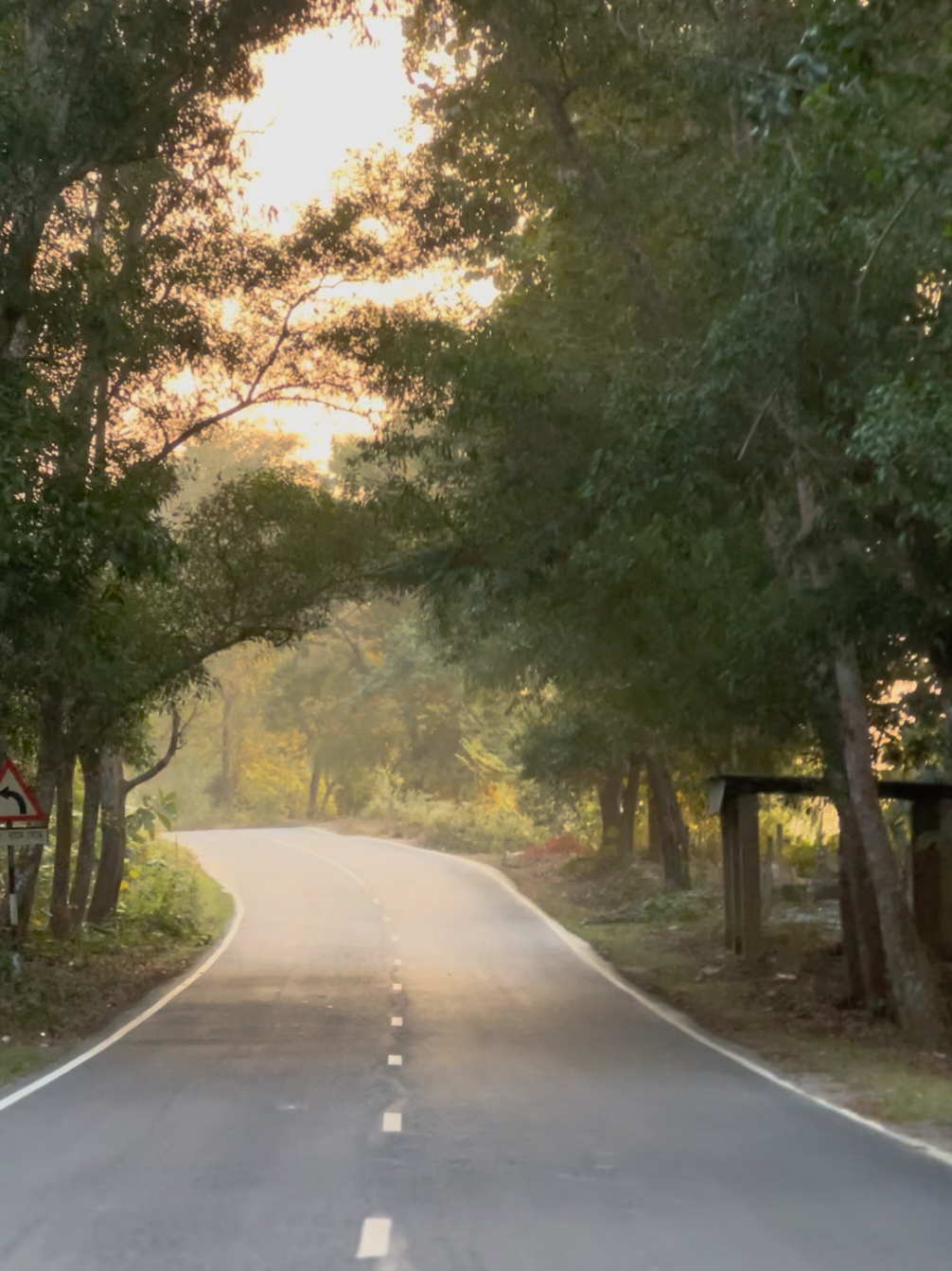 road to kaptai 🌿 #trending #foryou #fypシ゚ #fy #chittagong #nature #bdtiktokofficial #bdtiktokofficial🇧🇩 #travel #kaptai #fyp #mountain 