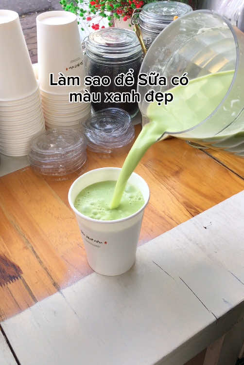 Nhiều bạn hỏi mình cách để sữa: Hạt điều - Đậu xanh - Lá dứa có màu xanh đẹp mắt hoặc có mấy bạn nói cũng làm giống mình sao màu sữa ko giống ko đẹp 😊😁 Mình xin chia sẽ cách làm của mình mn tham khảo nha.  - Đv máy xay cn thì mn cũng vẫn làm tương tự đc nè, mình sẽ ngâm lá dứa trong nước sôi đậy nắp kín vài phút là lá dứa sẽ thơm, sau đó cho cả phần lá dứa và nước vừa trụng vào rồi pha thêm nước nguội là xay thôi nè ( vì sao phải pha thêm nức nguội? Là vì nếu xay nát lá dứa trong nước sôi sẽ làm lá dứa chín nhừ, màu sẽ ko dc xanh để 1 hồi là sữa sẽ ngả màu vàng vàng nâu nâu ko đẹp nữa) Vì vậy tương tự các món sữa với rau cải, mn cũng thường sẽ trụng cải trước sau đó mới xay với nước nguội hoặc nước ấm ấm thì sữa mới đẹp á Ai có cách nào khác nữa thì chia sẽ cho mình với nha. Cảm ơn Mn 🥰 #sữahạt #suahat #suahatnguyenchat #suahatdinhduong #yeusuahat #suahatnha #healthy #fypシ゚ 
