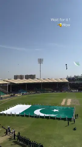 Pakistan Zindabad 🇵🇰😍❤️  #foryou 
