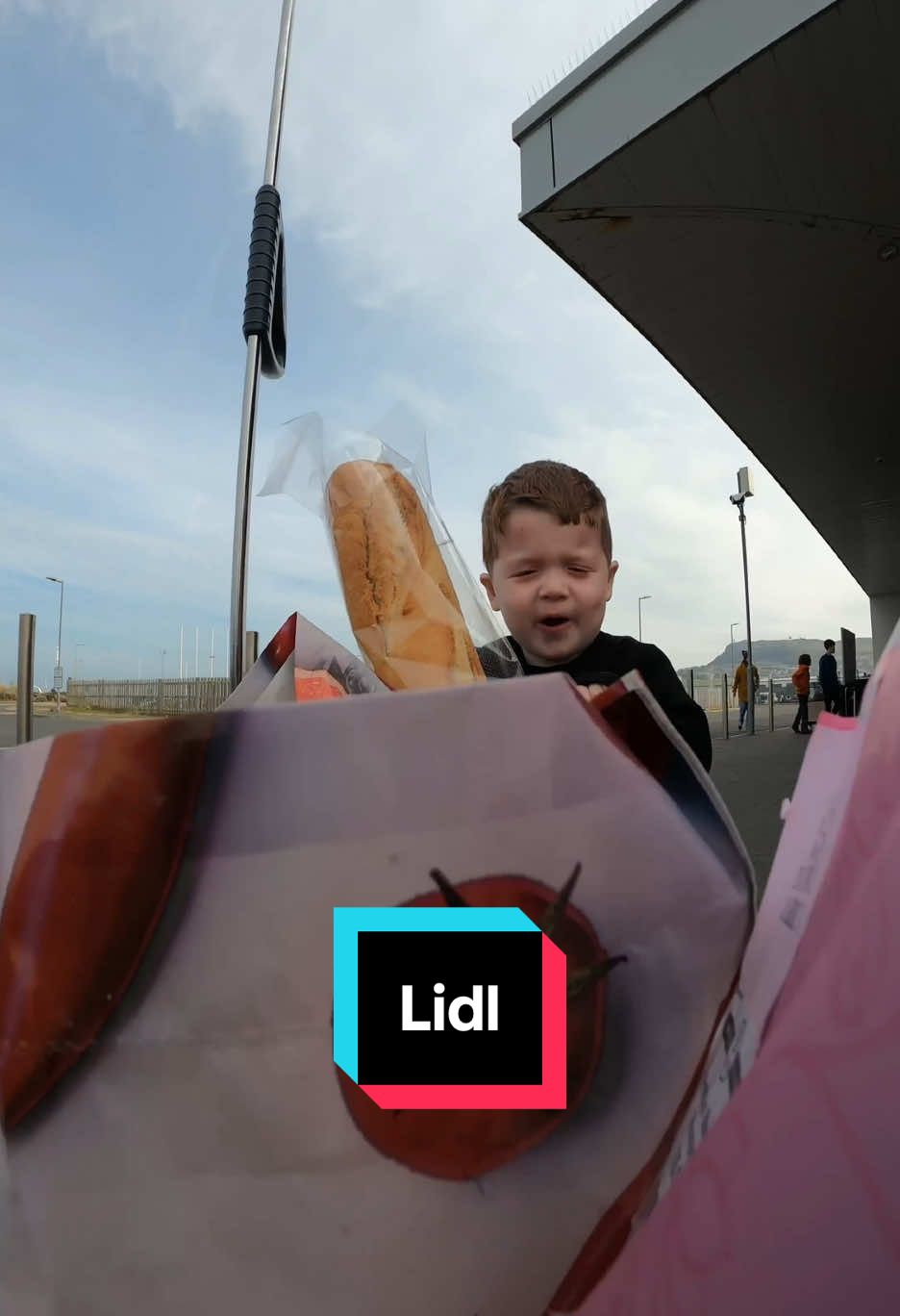 Half Term Shopping! Went in for some bits for lunch, some treats and flowers for Mummy 🌷🥰 Got myself a new criossant plushie too 😊 @LidlGB #fypp #fyppp #toddlersoftiktok #lidl #shoppinghaul #kidstiktok #fun 