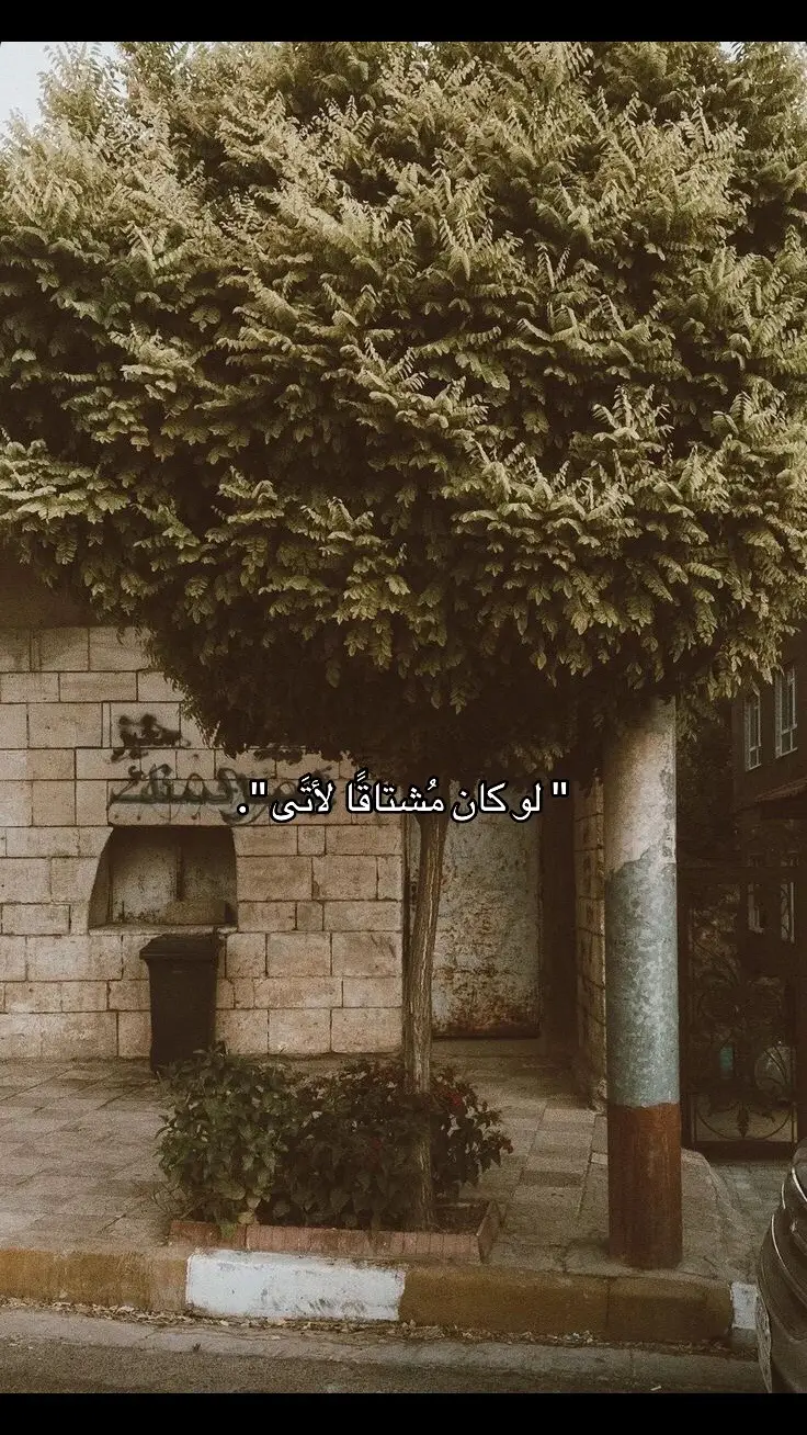 #ميم #اقتباسات 
