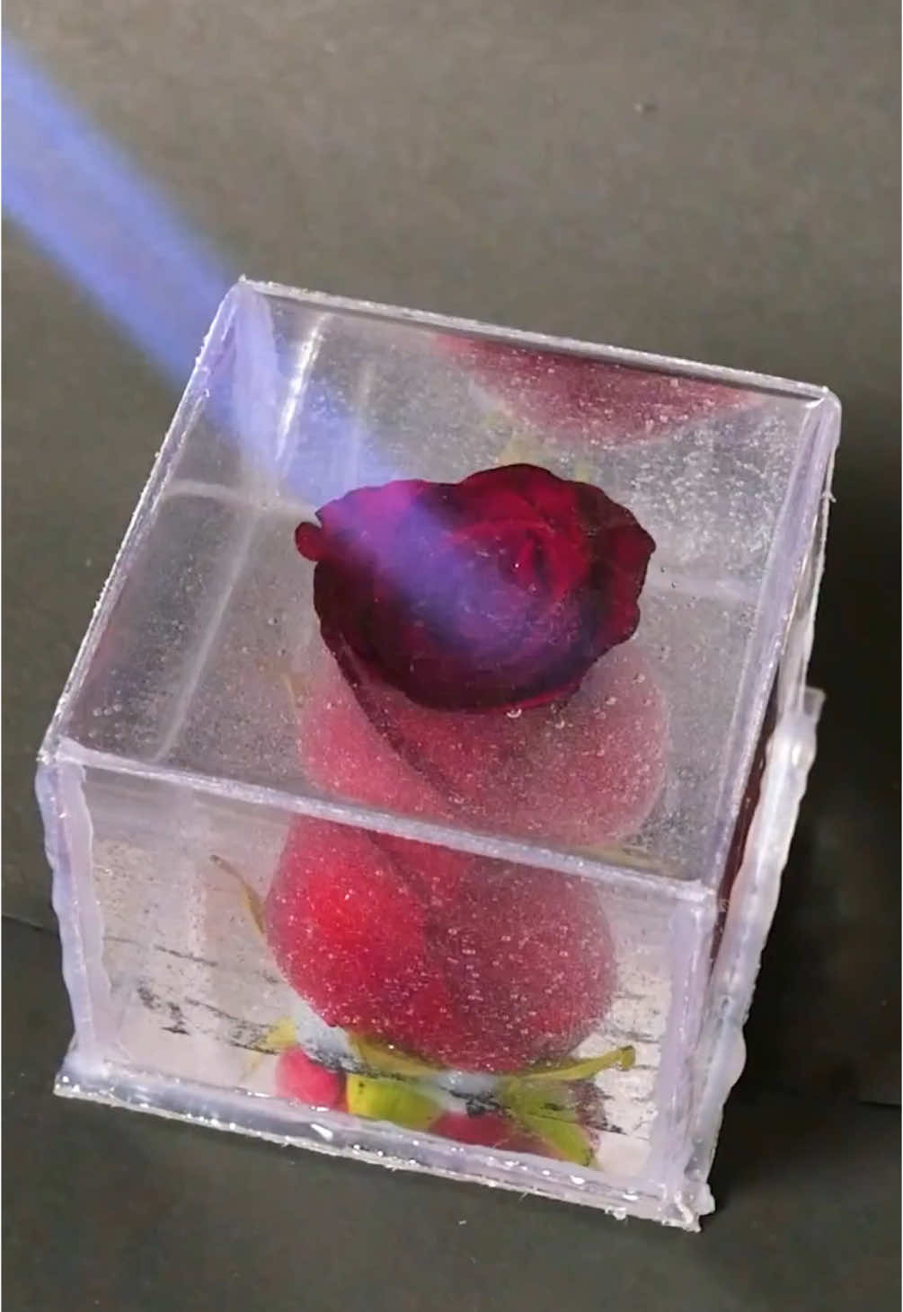 🤯 see what happens when we encapsulate this rose in resin for beautiful gift! 🎁✨ #romantic #DIY #craft #fyp #gift #present  #TSPPublisherHelper 