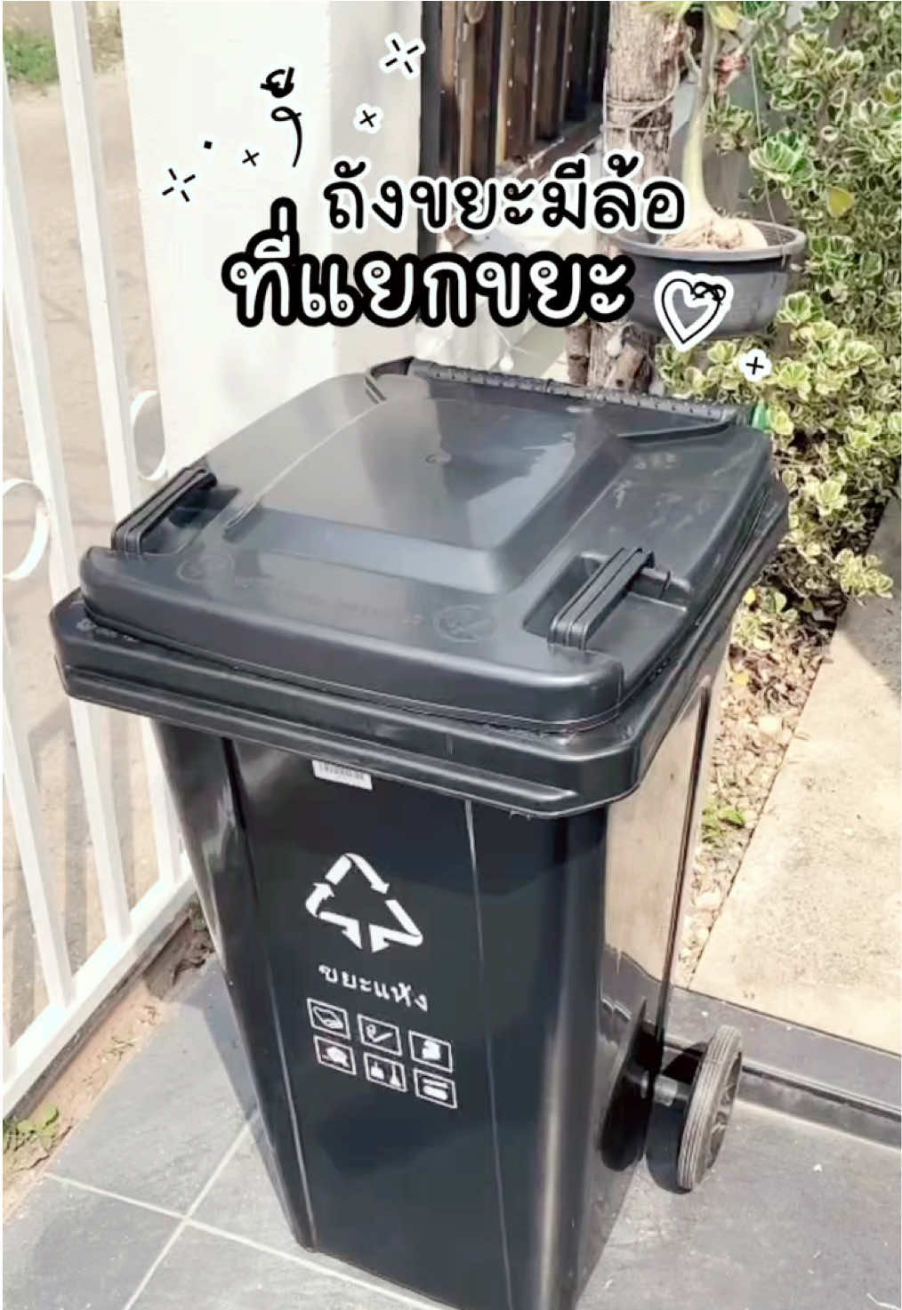 ‧₊ ᵎᵎ 🍒 ⋅ ˚✮ ที่แยกขยะ ถังขยะมีล้อใส่ได้เยอะน้ำหนักเบาแข็งแรงทนทาน  #ถังขยะ #ถังขยะมินิมอล #ถังขยะแยกประเภท #ทิ้ง #ขยะ #แยกขยะ #ถัง #fl#flypシi#tiktokforyoui#tiktokป้ายยาo#goodvibesl#flyyyyyyyyyyyyyi#mindseti#Lifestylet#attitudew#gwmw#gwmo#govirald#gdwmi#tiktokviralี#รีวิวไปเรื่อยี#รีวิวบิวตี้ในtiktok้#ป้ายยาo#worko#workfromhomeo#workfromhomeo#workingo#workanywhereา#รายได้เสริมี#รีวิวของใช้ดีบอกต่อo#Homeo#horseo#routinek#skincarek#skincareroutinei#lipsyncl#Vloga#capcuthopping 
