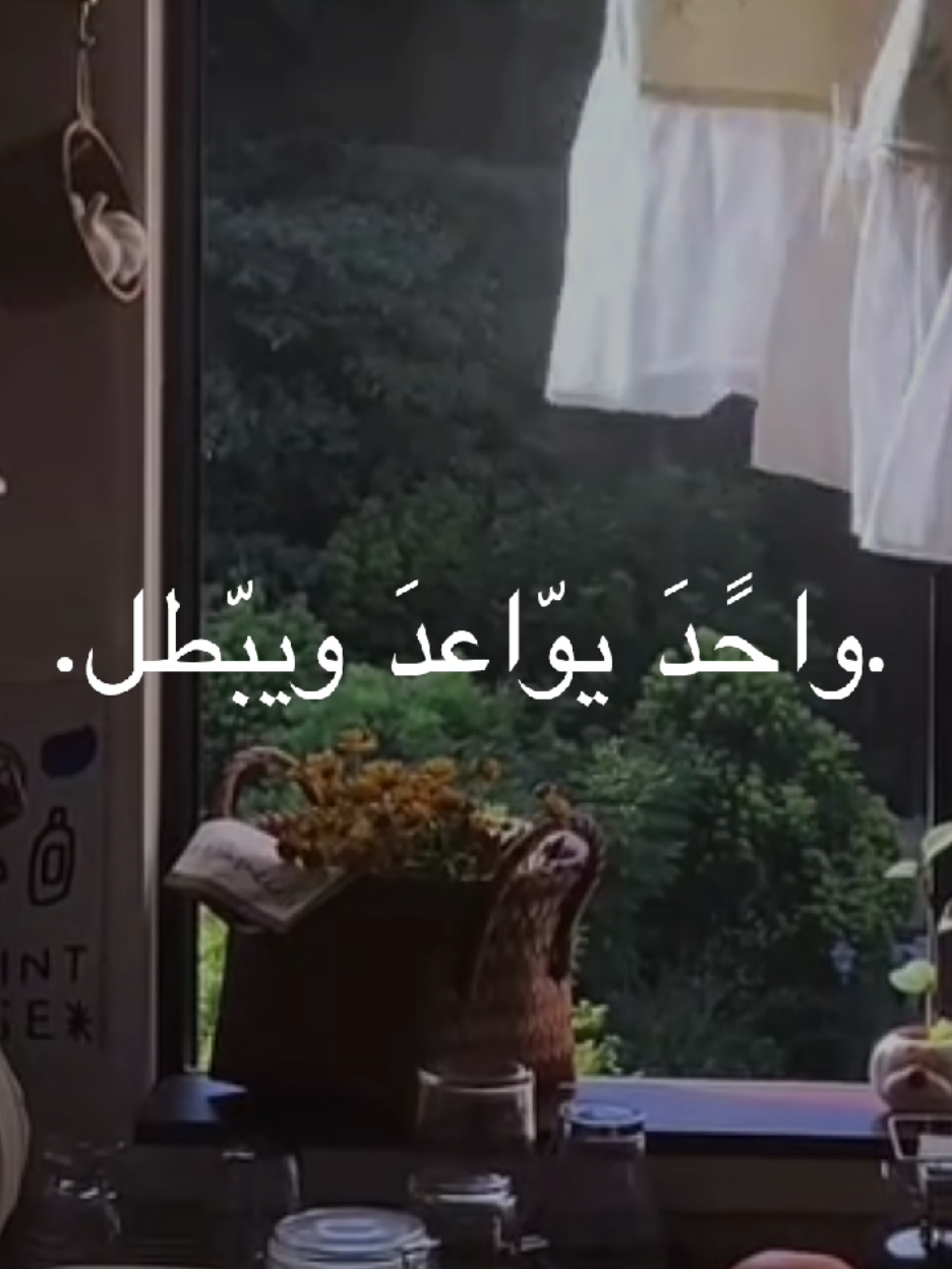 واحد يواعد ويبطل #الشيخ_احمد_الوائلي  #اكسبلورexplore 