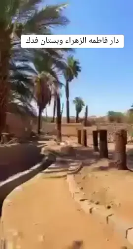 #عاشوراء #كربلا #النجف_الأشرف #لبنانيه🇱🇧 #تركيا_العراق_الكويت_مصر_سوريا_تيكتوك #لبيك_ياحسين🎪👑🏴🖤😔 