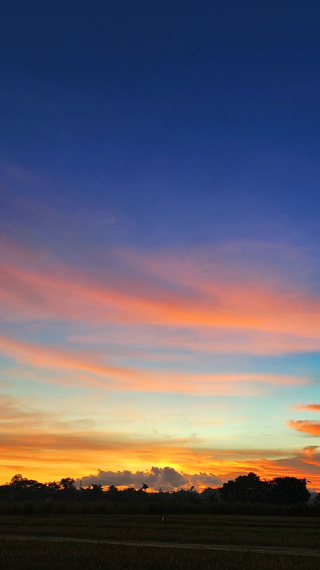 teringat musik senam jumat masa SD 🥺 #nostalgia #vibesongs #entahapayangmerasukimu #fyp 