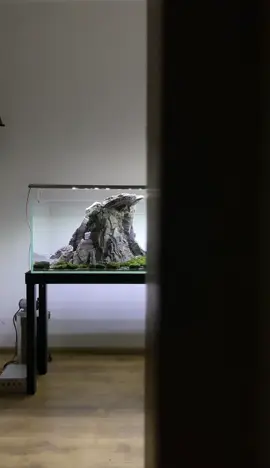 Aquarium with a strong stone accent.  #aquarium #aquariumstone #aquascaping #aquascapingworld #hardscaping #hardscape #aquariumdesign #aquariumlife #aquariumsoftiktok #ancientstone 