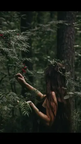 🕯️🦌✨ #fantasyromance #medivaltiktok #fairycore #bookworm #darkfantasy #bookish #carribeanblue #girlytok #fyp