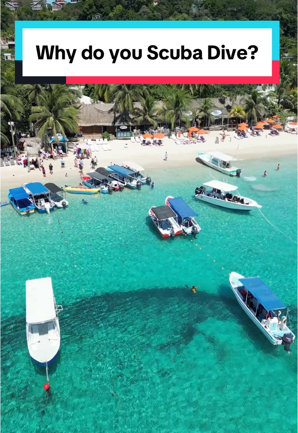 Scuba Divers like diving for many different reasons. But the breathing underwater part is the magic key to the underwater world 🗝️✨💦 PS What is it about diving that you love? 🤿🫶 #scuba #scubatiktok #scubatravel #oceanlife #scubadivingwithkenny 