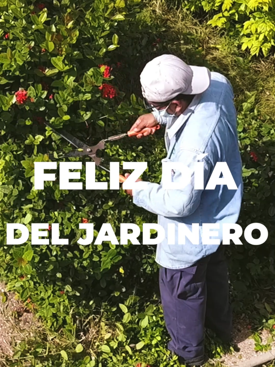 ¡Feliz Día del Jardinero! A todas y todos los que con su dedicación y pasión llenan de belleza nuestros espacios verdes, muchas gracias por transformar parques y jardines con tanto amor. #DíaDelJardinero #tuxtlagutierrezchiapas 