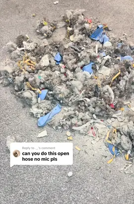 Replying to @._. Enjoy 🫶🏼🫶🏼.    #oddlysatisfying #asmr #asmrsounds #teamworkmakesthedreamwork #carpetmess 