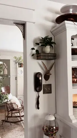 Adding more Spring touches!! Can’t stop, won’t stop!! 🍃🐇🍃 #springiscoming #springvibes #cottagecore #vintagevibes #spring #cottagecoreaesthetic #kitchen 