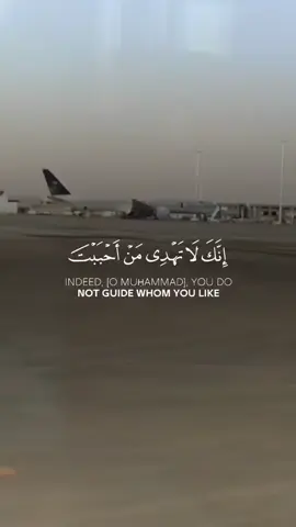 #انك_لا_تهدي_من_احببت  #سورة_القصص #ياسر_الدوسري  #الدوسري  #قران  #قران_كريم  #القران_الكريم  #القران_الكريم_راحه_نفسية😍🕋  #nedgeco.2 #quran #quran_alkarim #fyp #foryoupage #videoviral #viral #fpyシ #viralvideo #foryou #video #fypシ゚ #greenscreen #f 