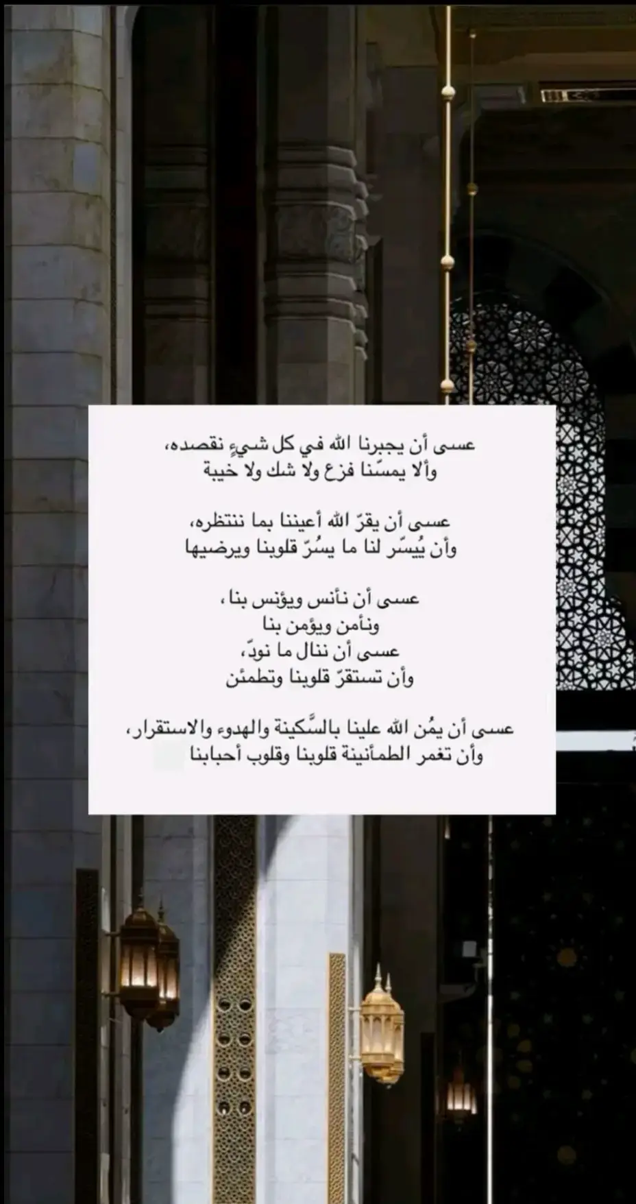 عسى الله ان يمن علينا بالسكينه والهدوء والاستقرار وان تغمر الطمأنينه قلوبنا وقلوب احبابنا 🤲🏻♥️