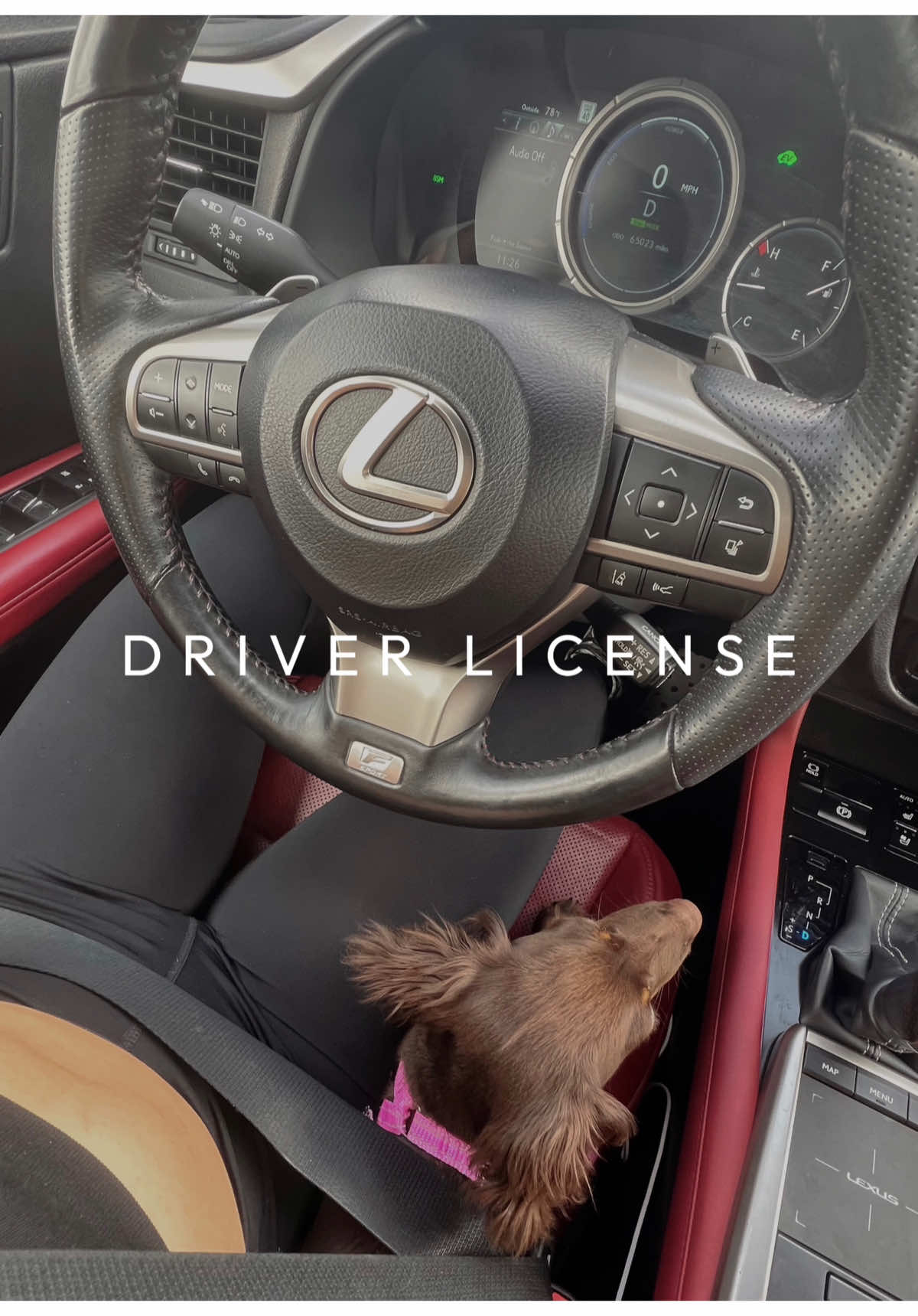 Ya sé manejar pero le tengo pavor a los exámenes 🫠🫠🫠 #driverslicense #latinaenusa 