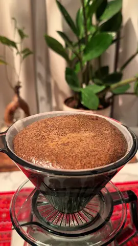 ياليتني من البداية ما شفت خده النقي #محمد_عبده #فنان_العرب #اغاني #بدون_موسيقى #your_coffee #يوم_التأسيس 