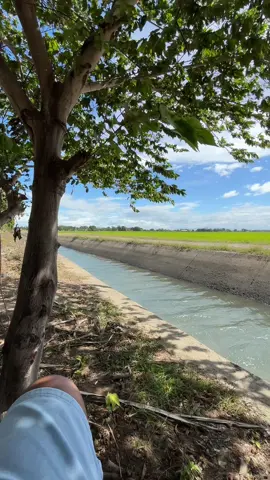 hangin #peaceful #fyp #foryou #province #nuevaecija #nature #freevideo 