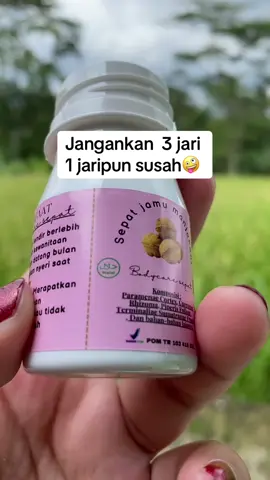 #jamu #manjakanikeset #kapsul 