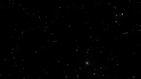 ليه الحزن مادام شمر ربعك؟#شمر_الغلباء #اكسبلور #اغاني_مسرعه💥 #yjp 