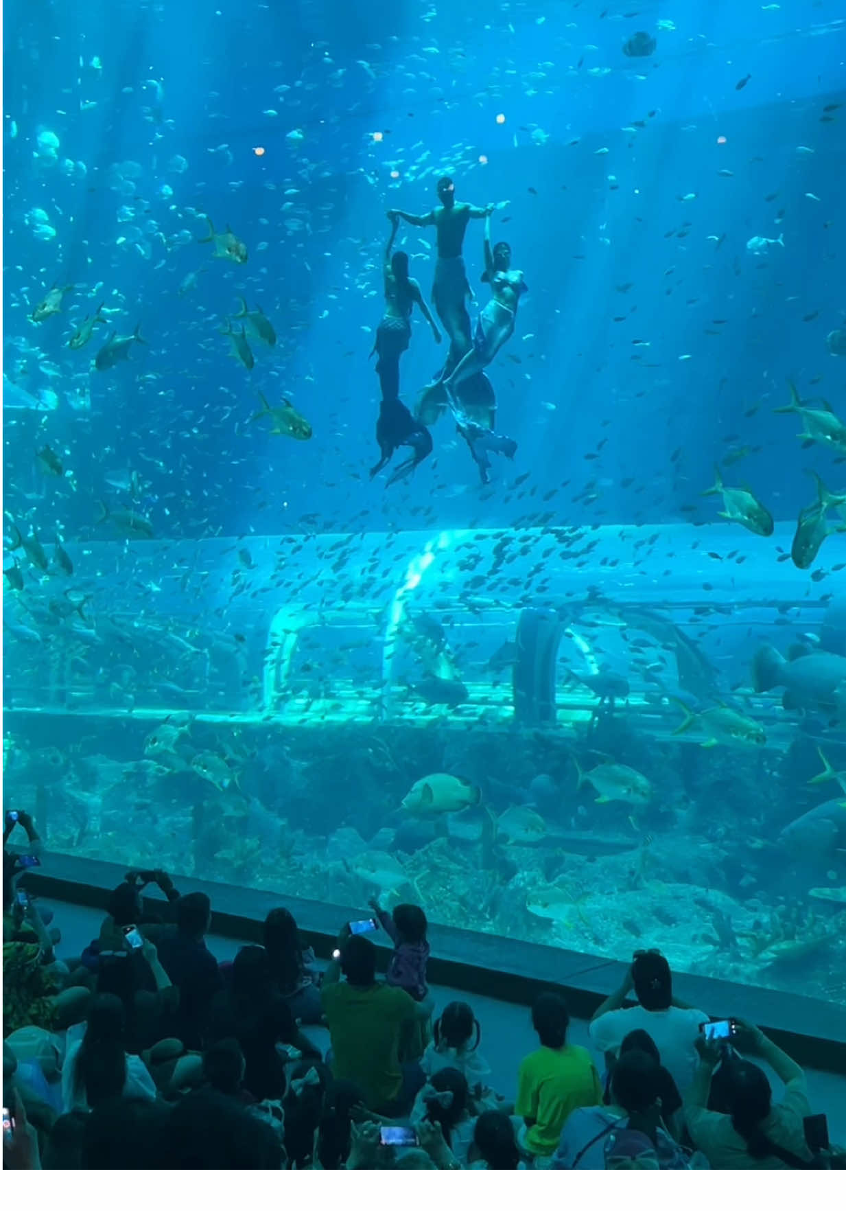 Mê cái vibe thuỷ cung trong Vinwonder s ở Phú Quốc. Hồi này em Muối vẫn ở trong bụng mẹ, đợi ngày dẫn em Muối quay lại Vinwonders🥰🥰#toptrending #xuhuong #vinwondersphuquoc #vinwonders 