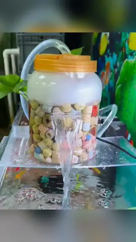 Chế tạo bồn lọc nước mini cho hồ kính nhỏ #thuysinh #cacanh #guppy 