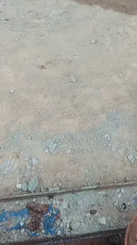 larilah sejauh mungkin nona.! 