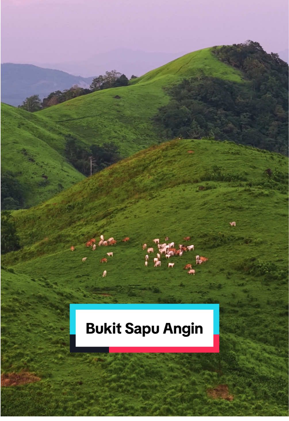 Waaaah ini dia tempat yang lagi viral di Kalimantan Selatan yang mirip dengan Bukit Guvardan. Bukit Sapu Angin Kalimantan Selatan. #bukitsapuangin #sapuangin #bukitgovardan 