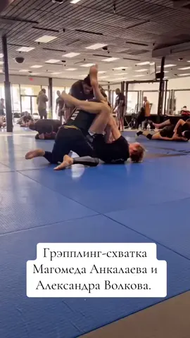 #UFC #mma #volkov #ankalaev 