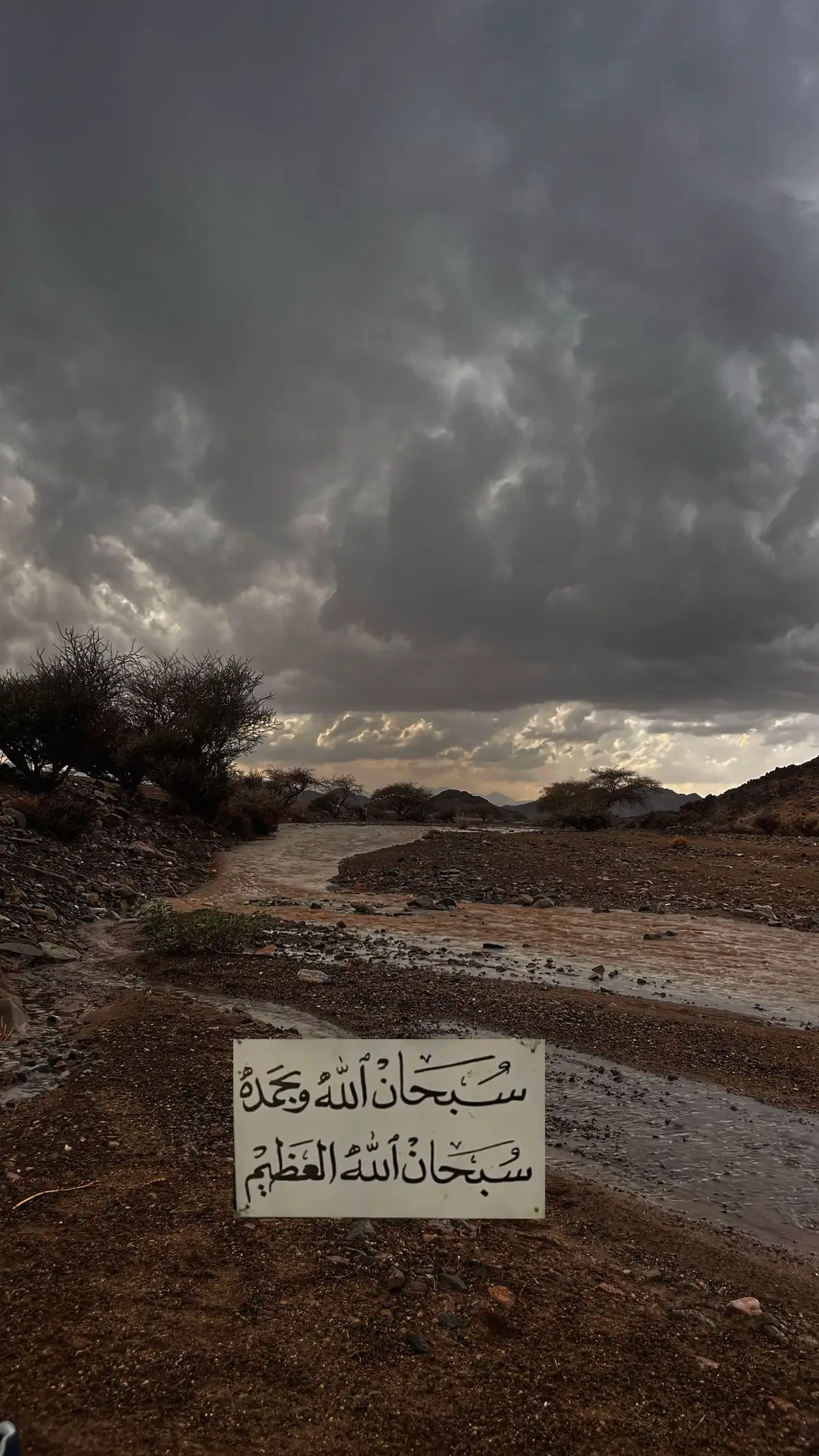 #سبحان_الله_وبحمده_سبحان_الله_العظيم 