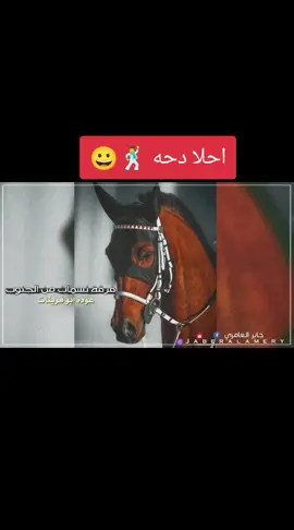 #دحه #كامله #🥀🕺 #مجرد_ذووقツ🖤🎼 