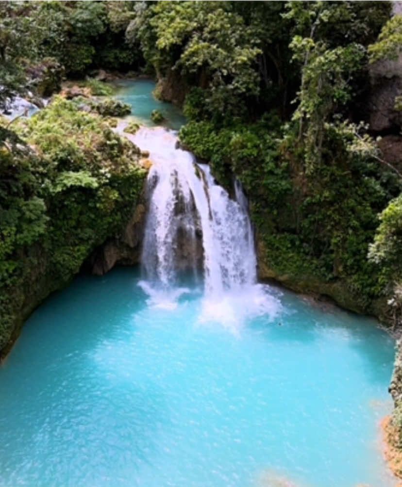 Kawasan Falls #kawasanfalls #cebu #badian #philippines #fyp #fypシ #canyoneering 