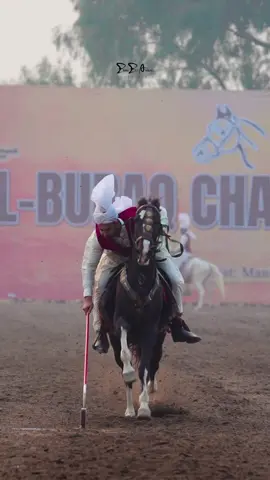 #NaveedButt #ماشاءالله_تبارك_الله #Tentpagging🐎 #Passion #Zaraar #horsesoftiktok #foryou 