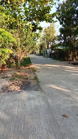 အမှန်ဝယ်ရင် တန်ပါတယ်ခမျာ#လှည်းကူးအိမ်ခြံမြေ 