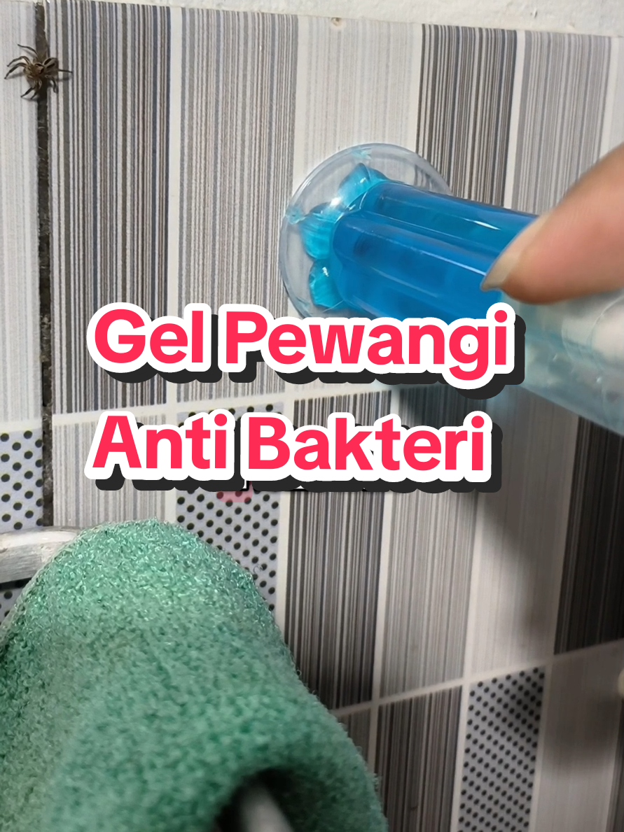 Gel Pewangi Anti Bakteri, cara pemakaian mudah harga murah wc jadi wangi seharian #gelpewangitoilet #pewangitoilet #pewangiwc #toiletclean #pembersihkamarmandi 
