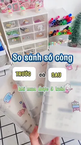 So sánh sổ còng trước và sau khi mua về được 3 tuần #happybirds #videovanphongpham #LearnOnTikTok #socong 