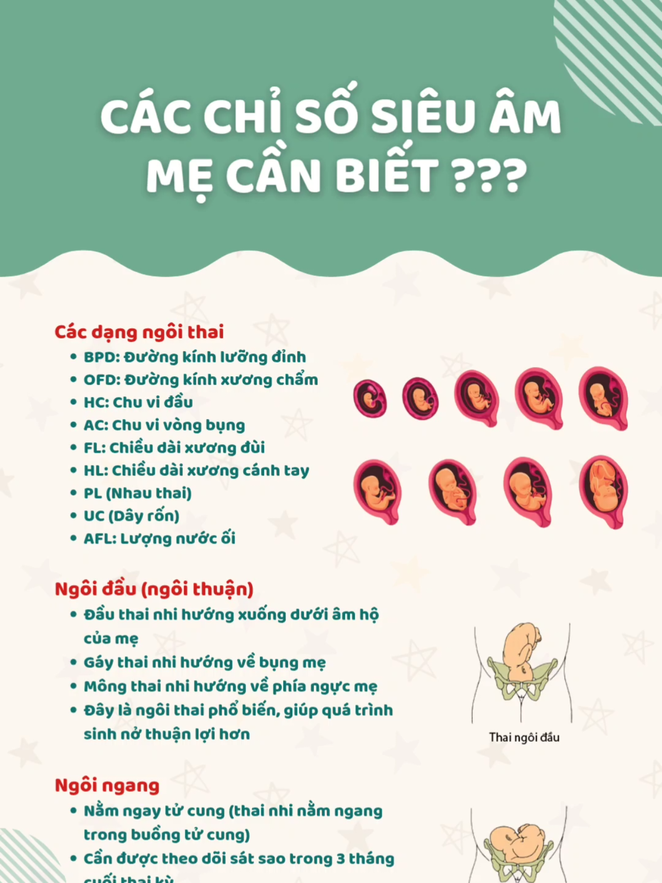 các mẹ tham khảo nha#nuôiconkhoe #xuhuong #chamcon #cungconkhonglon 