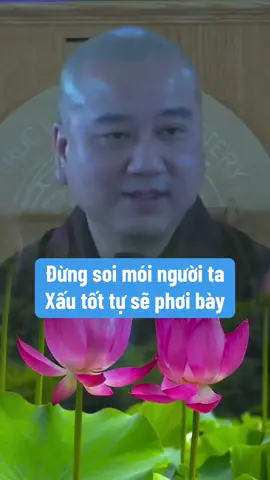 Sóng ở đời đừng nên soi mói người khác, chuyện xấu tốt tự nó sẽ phơi bày.#phatgiaodanthan #tuehung #thayphaphoa #thichphaphoa #phapthoai #thipho 