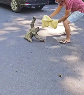 This is one of the dangerous animal, so be careful with it