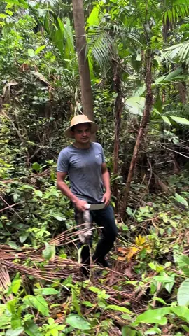 Como tirar açaí  Jessé passando tutorial🤣🤣🤣 #viral 