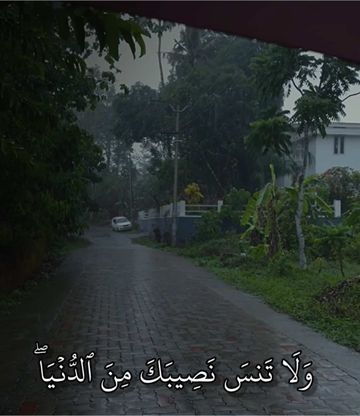 ﴿لَا تَفۡرَحۡۖ إِنَّ ٱللَّهَ لَا يُحِبُّ ٱلۡفَرِحِينَ﴾ @HS | QURAN  __________________________ سورة  القصص : ماهر المعيقلي  __________________________ #quran_kriem #قران #quran #القران_الكريم #ماهرالمعيقلي #تلاوات #شهر_رمضان 