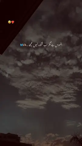 ساتھ رہ کے بھی سمجھا نہیں مجھے 🥺❤️‍🩹 #asthetic #poetry #poetrystatus #grow #account #foryou #foryoupage #yousaf_vibe 