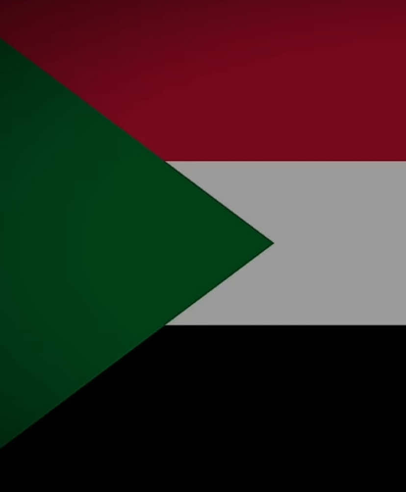#foryou #sudan #🇸🇩 #viralvideo #foryoupage #fyp 